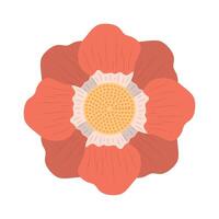 beautiful red flower vector