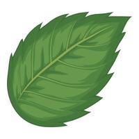 hibiscus green leaf vector