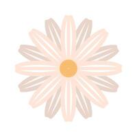 white beautiful flower vector
