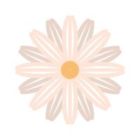 white beautiful flower vector