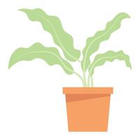 houseplant in ceramic pot vector