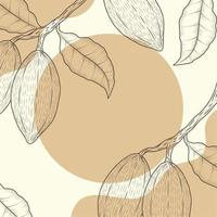 cocoa branches in frame vector