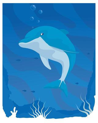 fish dolphin undersea