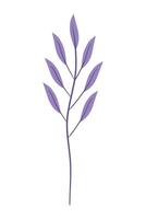 purple branches with leafs vector