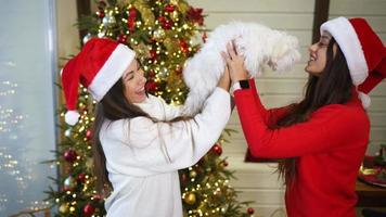 chicas navideñas con perro en casa video