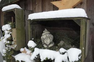 winter time in a german garden photo