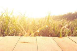 wooden table and grass field at sunrise summer nature background photo