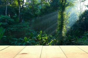 mesa de madera y bosque lluvioso rayo de sol foto