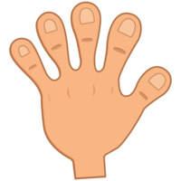 caricature de la main humaine png