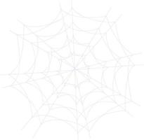 The web was woven by a spider. vector