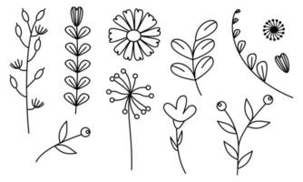 vector de doodle de flores y ramas dibujadas a mano