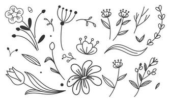 vector de doodle de flores y ramas dibujadas a mano