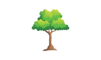 Deciduous green tree with exposed roots isolated vector illustration