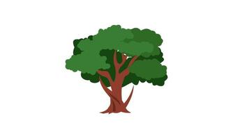 árbol verde caducifolio con raíces expuestas ilustración vectorial aislada vector