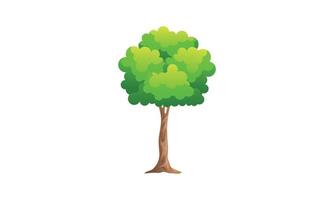 árbol verde caducifolio con raíces expuestas ilustración vectorial aislada vector