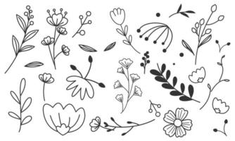 vector de doodle de flores y ramas dibujadas a mano