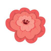 spring red flower vector