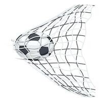 gol de pelota de deporte de fútbol vector