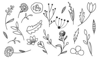 vector de doodle de flores y ramas dibujadas a mano