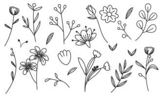 vector de doodle de flores y ramas dibujadas a mano