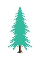 pine tree nature vector