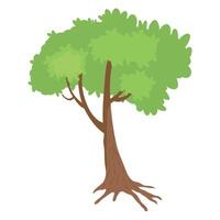 tree plant forest vector