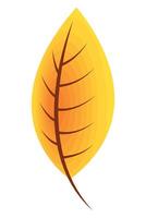 yellow autumn season leave vector