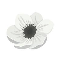 white spring flower vector