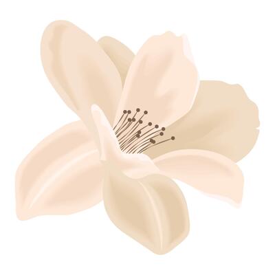 Beige Flowers Vector Art, Icons, and Graphics for Free Download