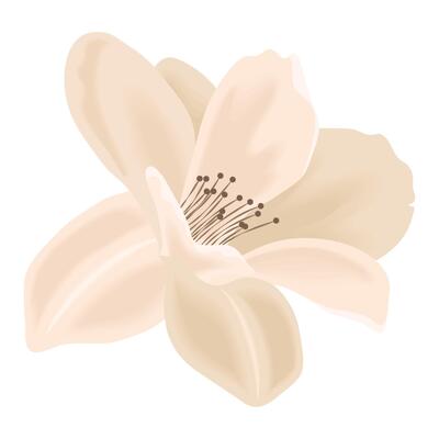 dry flower with a beige empty wall. Illustration AI Generative 21995818  Stock Photo at Vecteezy