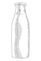 milk bottle sketch style vector