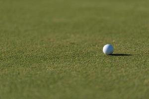 golf ball on grass photo