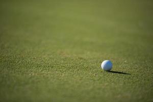 golf ball on grass photo