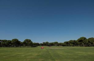 campo de golf de entrenamiento foto