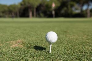 golf ball on tee photo