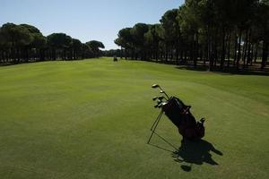 golf bag on course photo