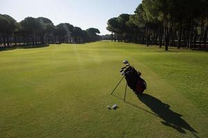 golf bag on course photo