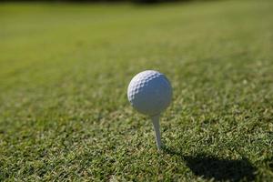 pelota de golf en tee foto