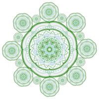 ilustração de mandala verde png