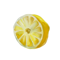 illustrazione ad acquerello di limone png