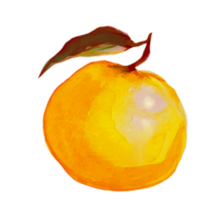 ilustración acuarela mandarina png