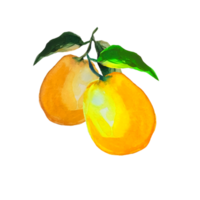 illustration aquarelle de citron png