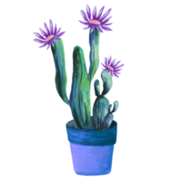 bloeiende cactus in een pot png