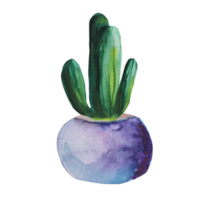 cacto em uma aquarela de pote png