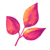 illustration de feuilles rouges png