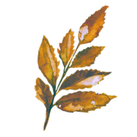 las hojas de una acuarela de árbol muerto