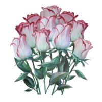 rosas florescendo em um monte de ilustração em aquarela png