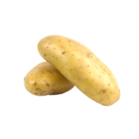 frische Kartoffel Solanum tuberosum isoliert auf weißem Hintergrund png