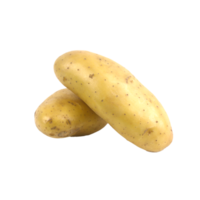 Pomme de terre fraîche solanum tuberosum isolé sur fond blanc png