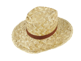 beige cannuccia cappello o cappello tessere isolato su bianca sfondo concetto vacanza, estate, vacanza png